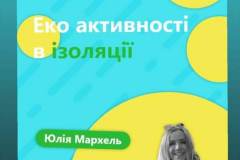 03-1